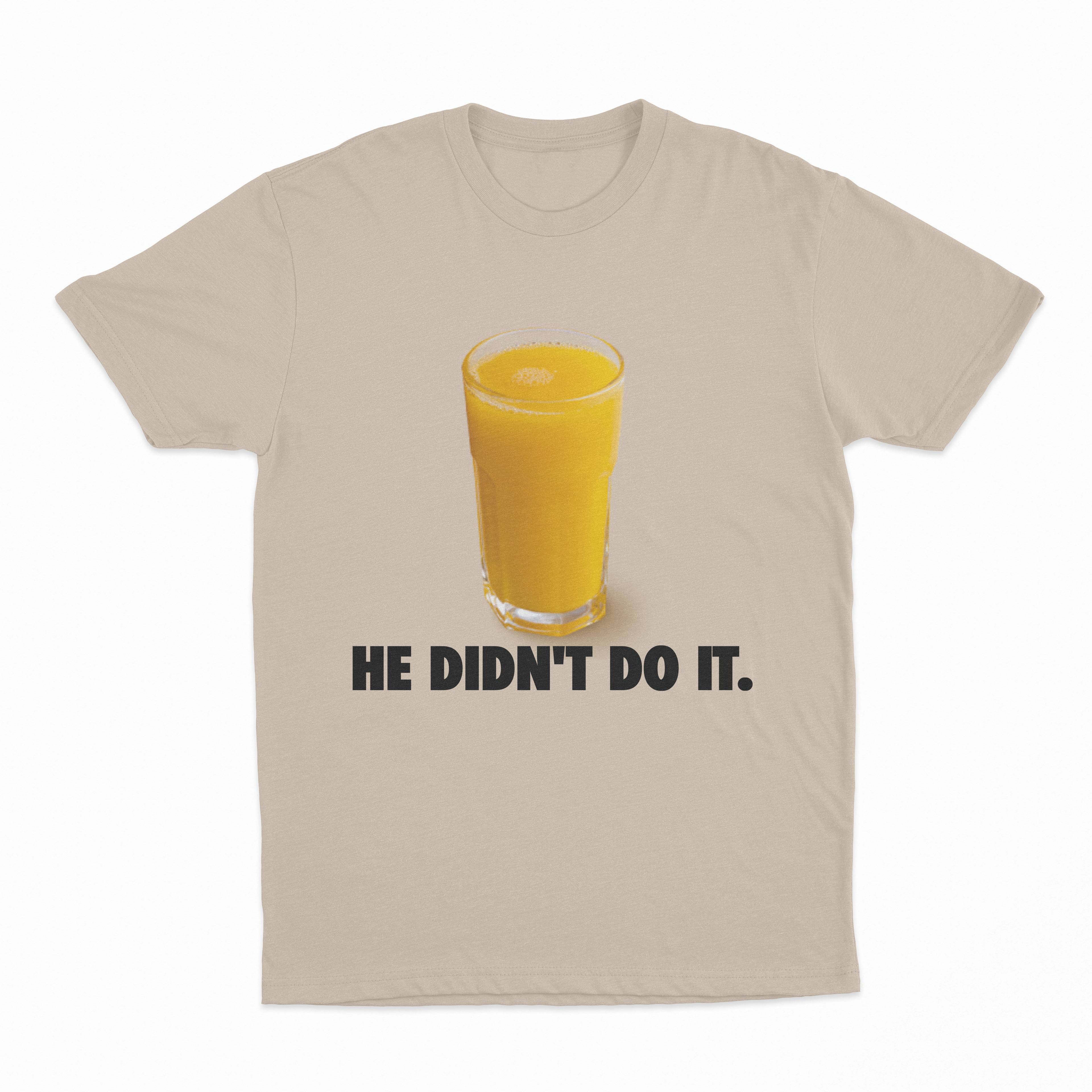 He Didn't Do It T-Shirt