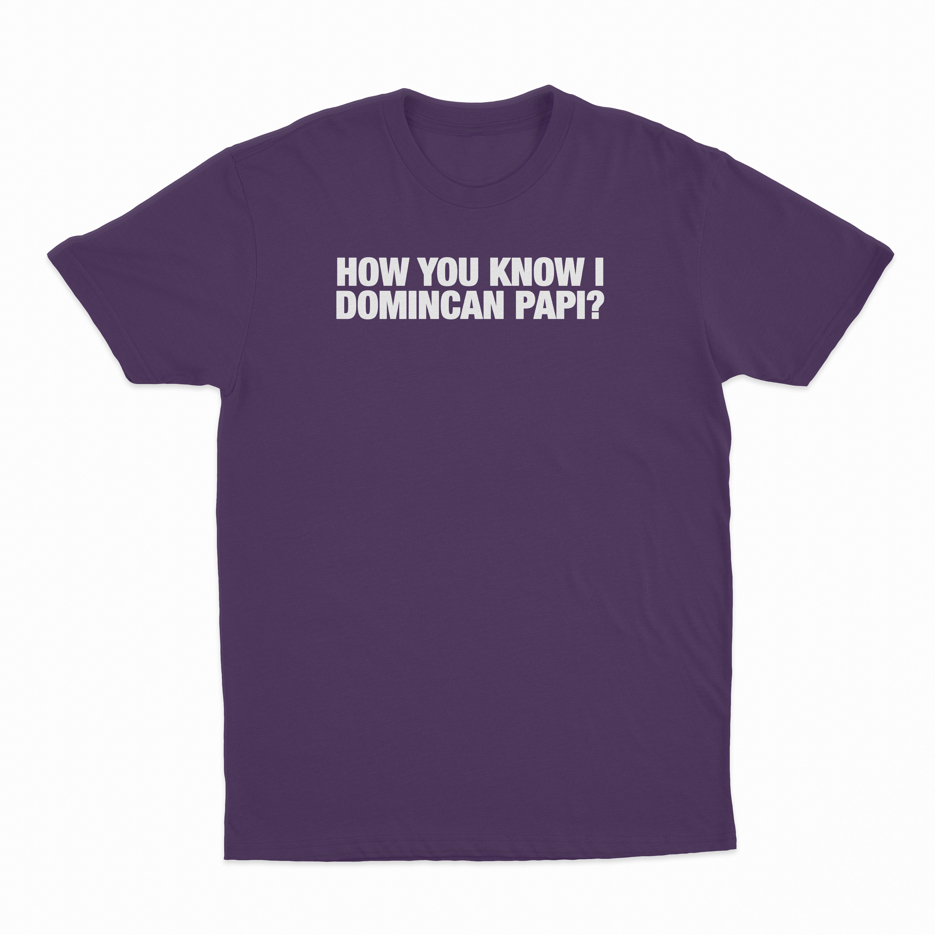 How You Know I Domincan Papi T-Shirt