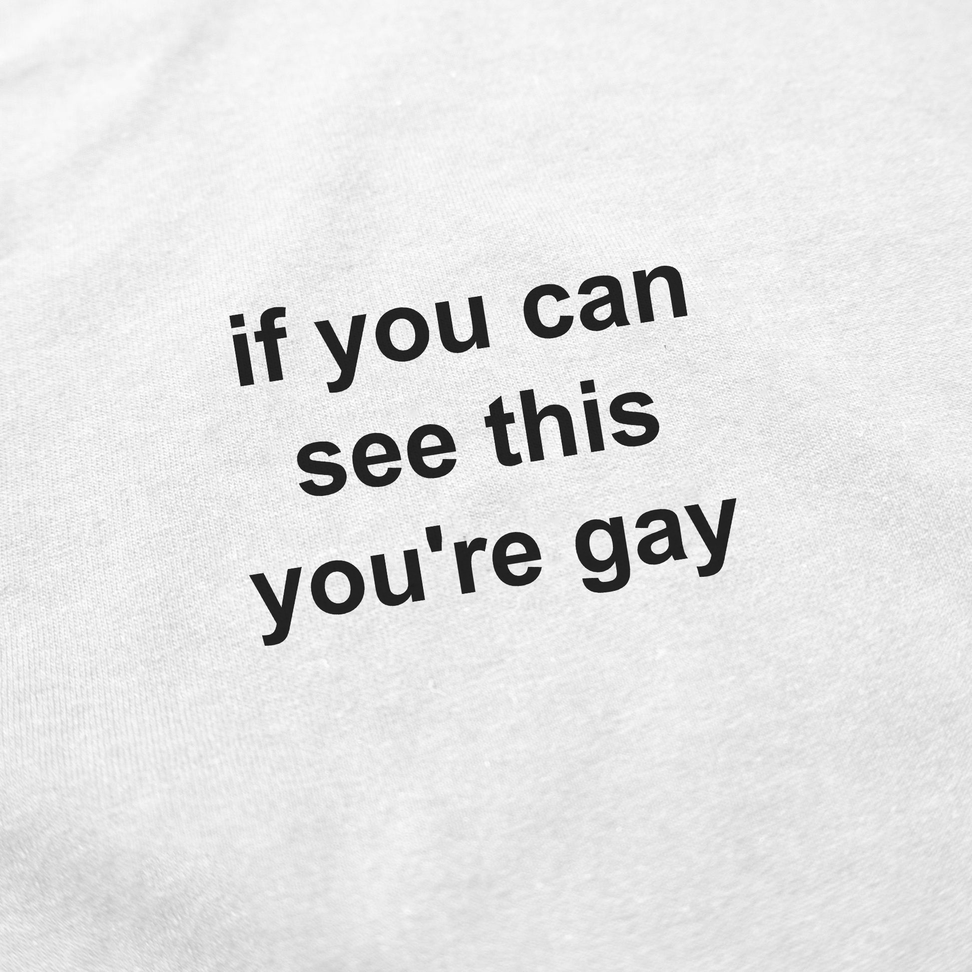 If You Can See This You're Gay T-Shirt