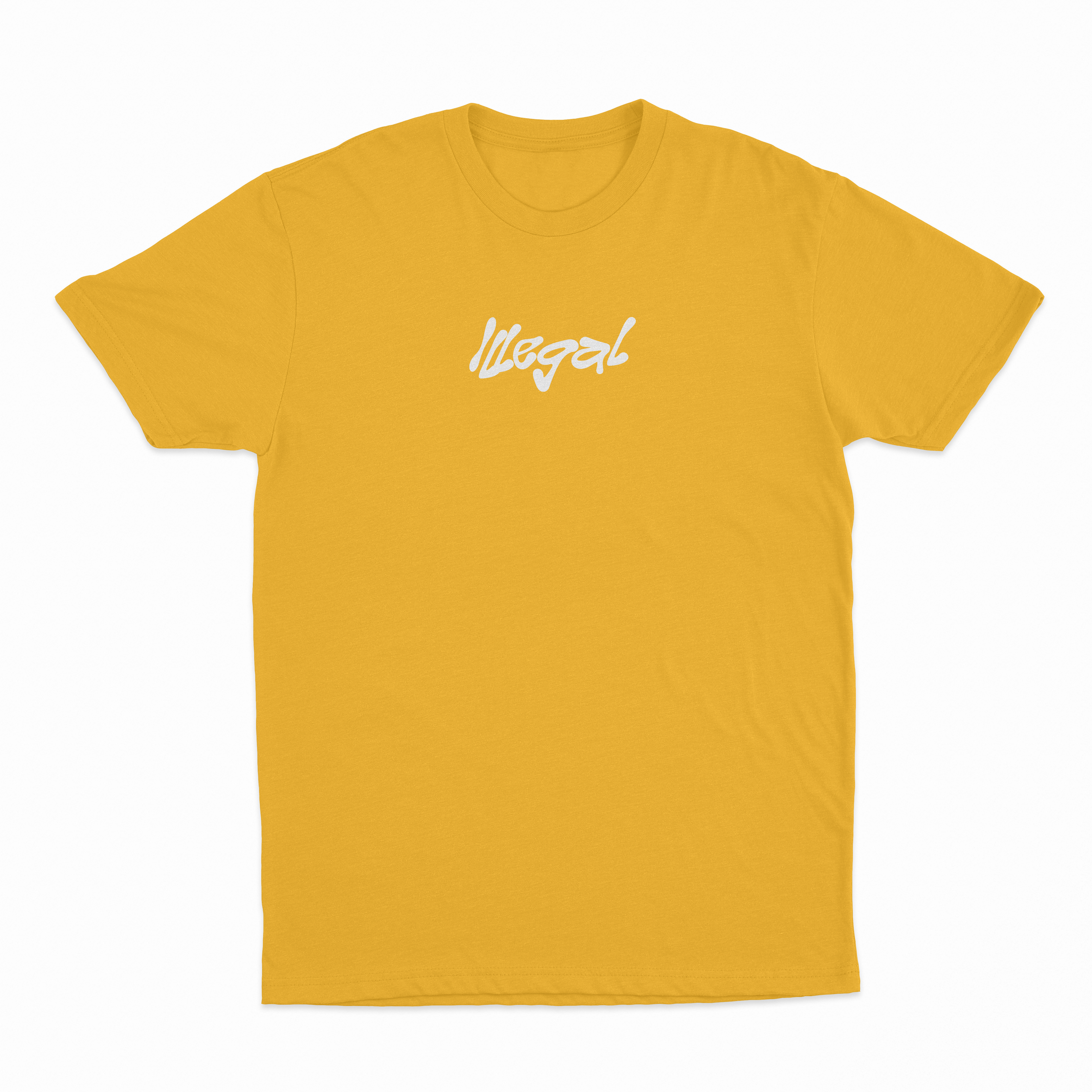 Dear Person Behind Me Schizophrenic T-Shirt (Backprint)