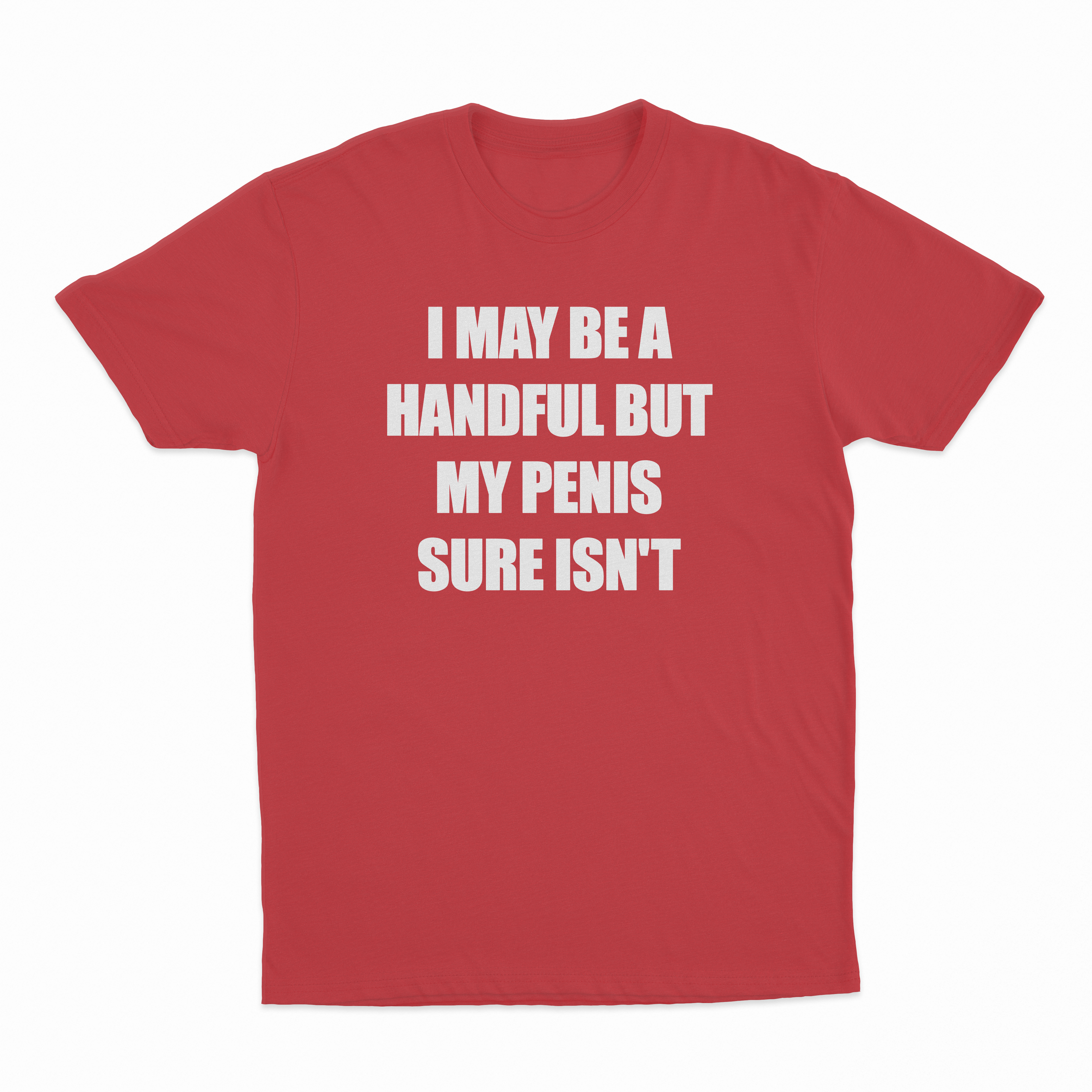 I May Be A Handful But My Penis Sure Isn't T-Shirt