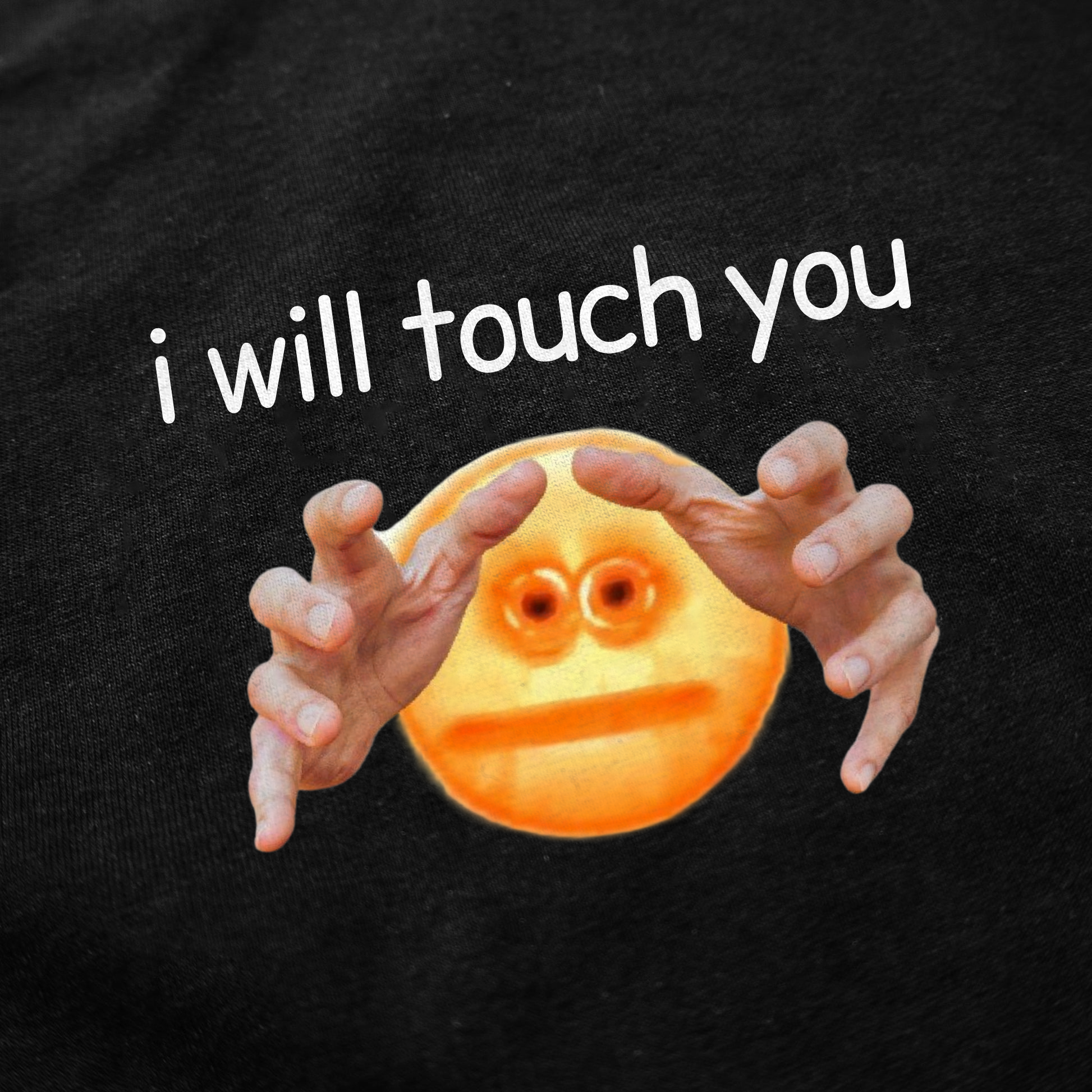 I Will Touch You T-Shirt