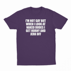 I'm Not Gay But When I Look At Naked Dudes I Get Horny And Jerk Off T-Shirt