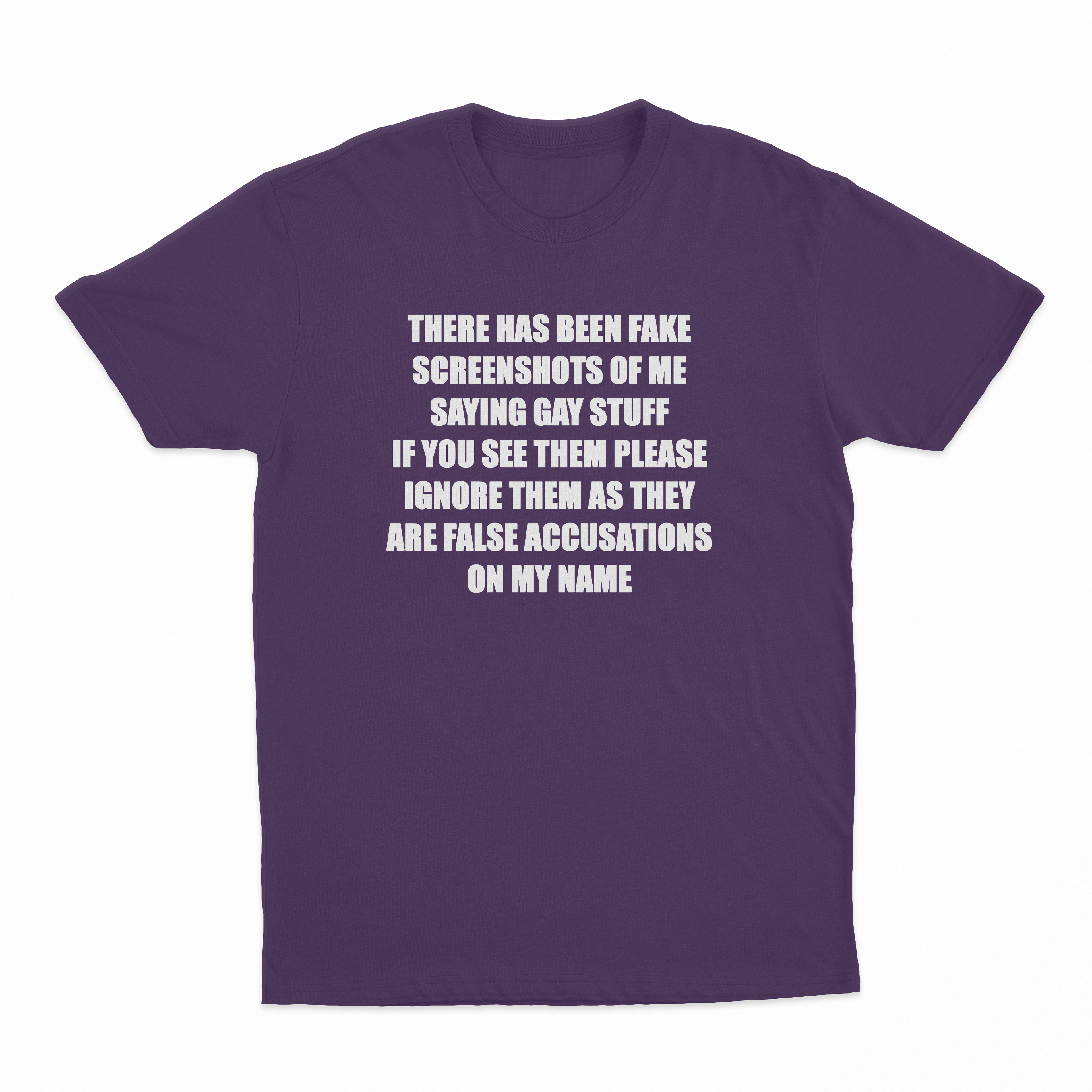 There Has Been Fake Screenshots Of Me Saying Gay Stuff T-Shirt